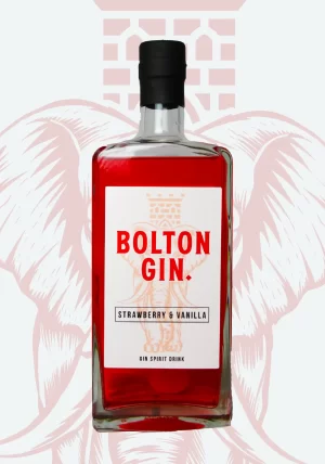 Bolton Gin 1000x700_Strawberry & Vanilla